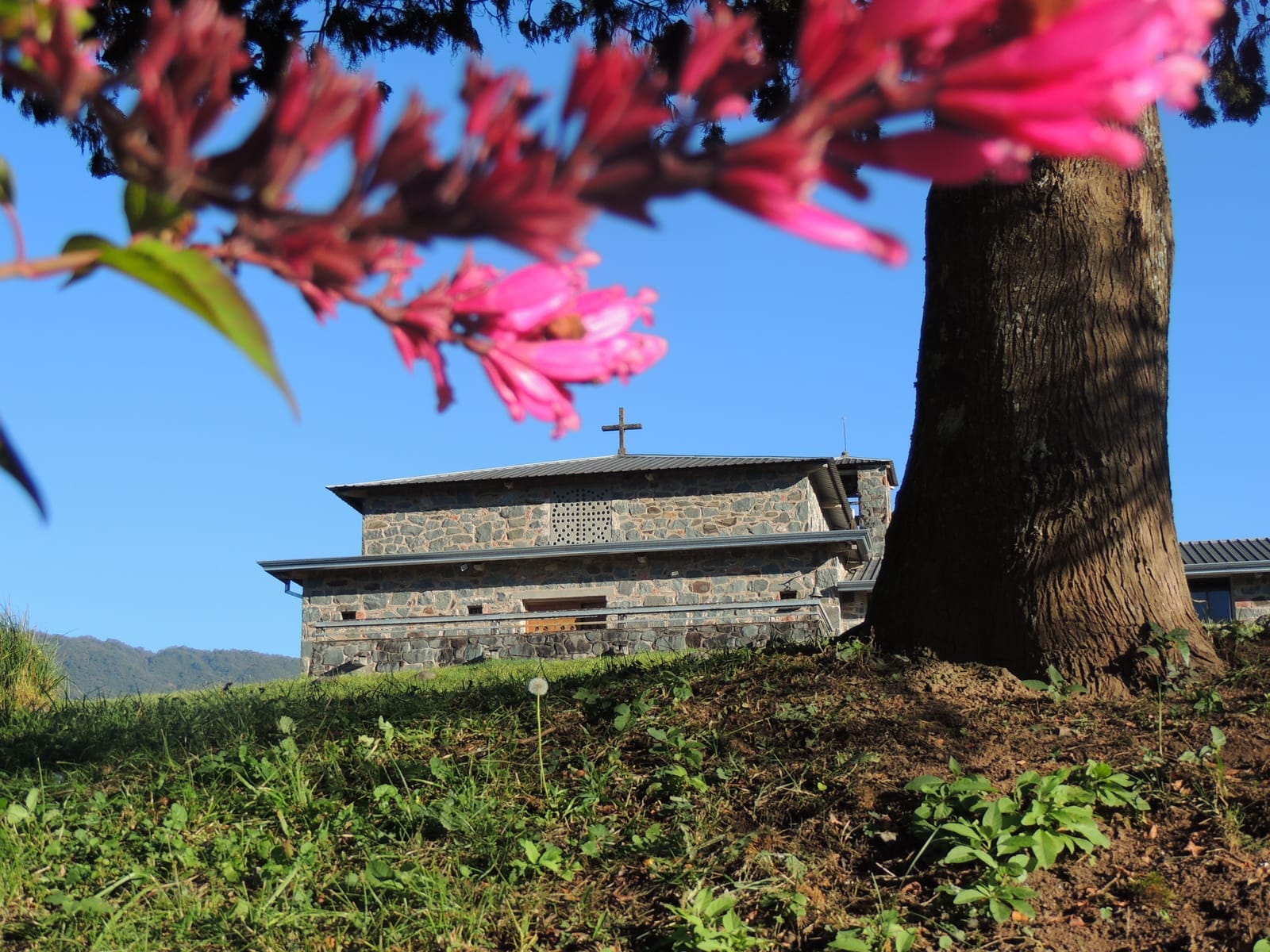 Monasterio Cristo Rey - Historia